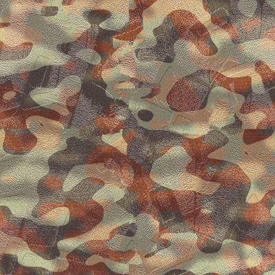Camo Print