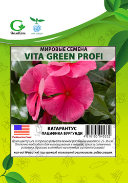 Катарантус Пацифика Бургунди (100шт) Витагрин Профи