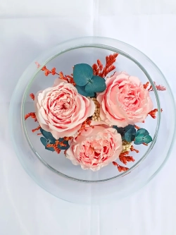 натуральные пионы в стекле, вакуум*