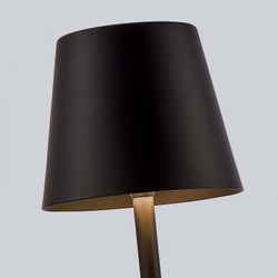 Настольная лампа декоративная F-promo Pyari 4615-1T