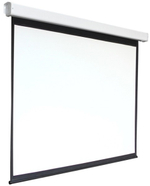 Экран Digis DSEF-4306