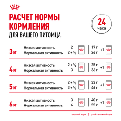 Корм консервированный Royal Canin полнорационный для взрослых кастрированных и стерилизованных кошек, живущих в помещении INDOOR STERILISED (ИНДОР СТЕРИЛАЙЗД), кусочки в соусе - 85 гр