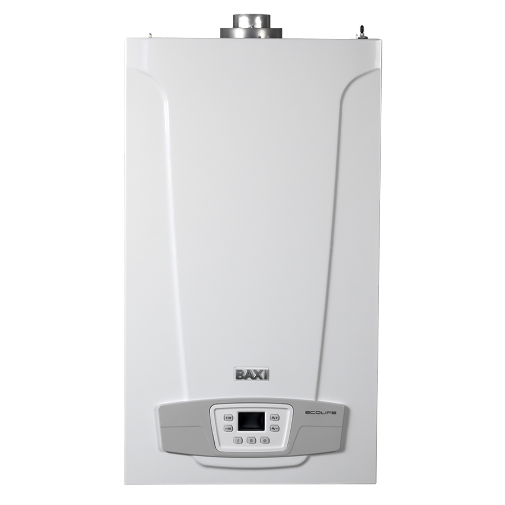 Настенный газовый котел Baxi Eco Life 1.24F