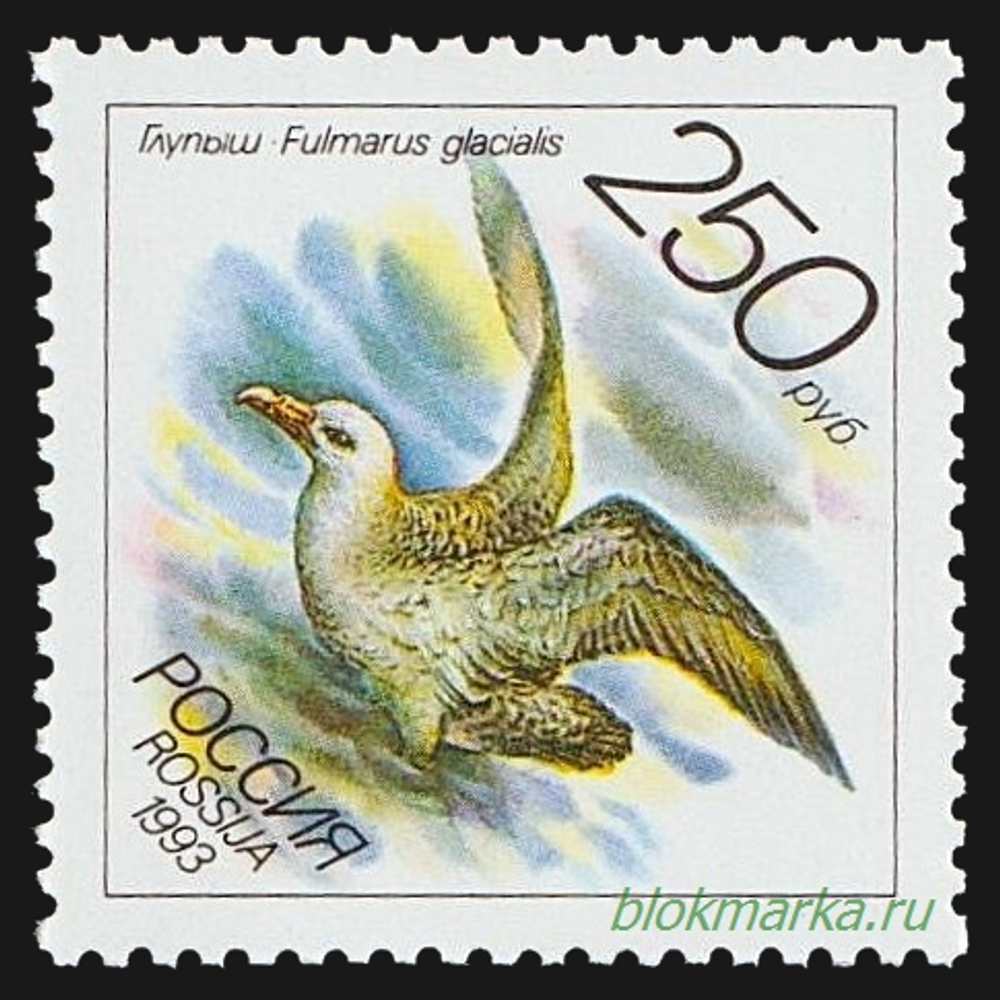 Россия 1993 г № 104-108 Серия Животные морей Тихоокеанского региона Чистая MNH **