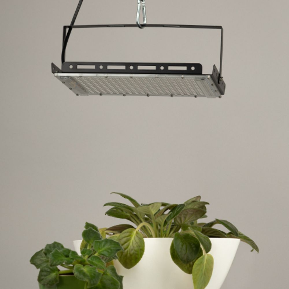 Фитопрожектор для растений светодиодный ЭРА GREEN LINE FITO-200W-Ra90-LED-Y-GR полного спектра 200 Вт | Фито прожекторы