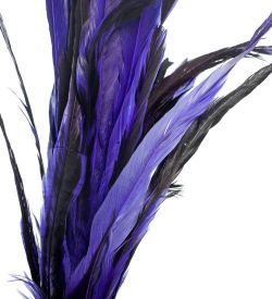 14-049 Декоративный веничек из перьев (о. Бали)