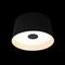 Потолочный светодиодный светильник Loft IT Duo 10360S Black