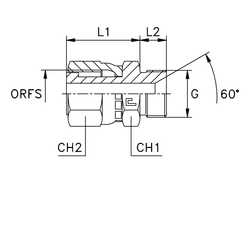 Адаптер AS D12 ORFS 13/16 - BSP 3/8
