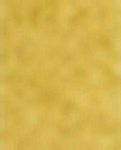 Zara Home Аромадиффузор Lemon Candied 190 мл, тростниковые палочки микадо, аромат свежий цитрусовый, Горчичный