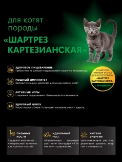 Корм для котят породы Шартрез Картезианская, ягненок, 400 гр
