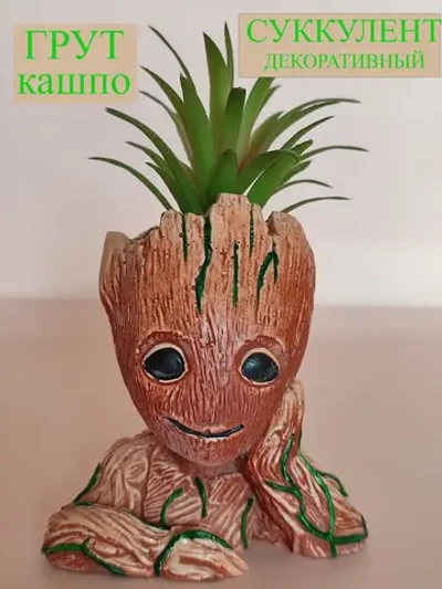 Кашпо органайзер Грут с суккулентом