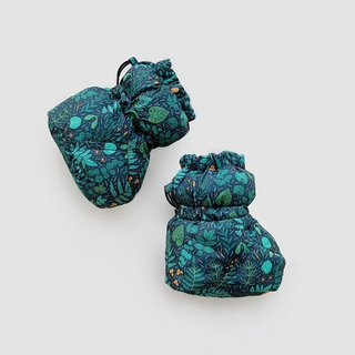 Dada Moon (папоротник)