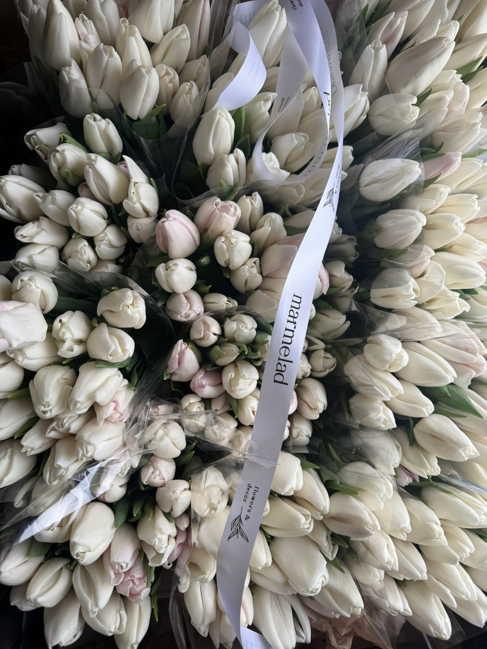 Тюльпаны классика - бело-розовый цвет