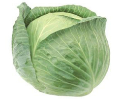 Жеант F1 семена капусты белокочанной (Clause / Клос)