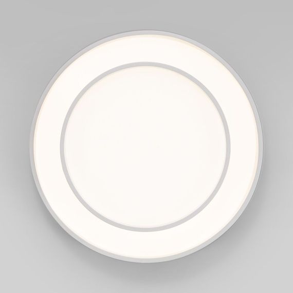 Потолочный светодиодный светильник Eurosvet Force 90331/2 белый