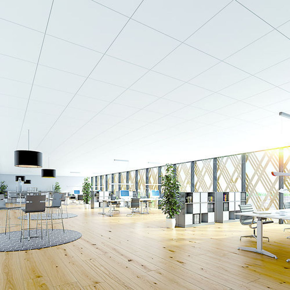 Плита потолочная Rockfon Blanka A24 1200х600х20 мм