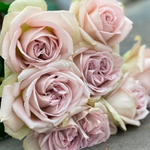 🌸 Нотр-Дам — букет интерьерных роз — 8 марта у Феи