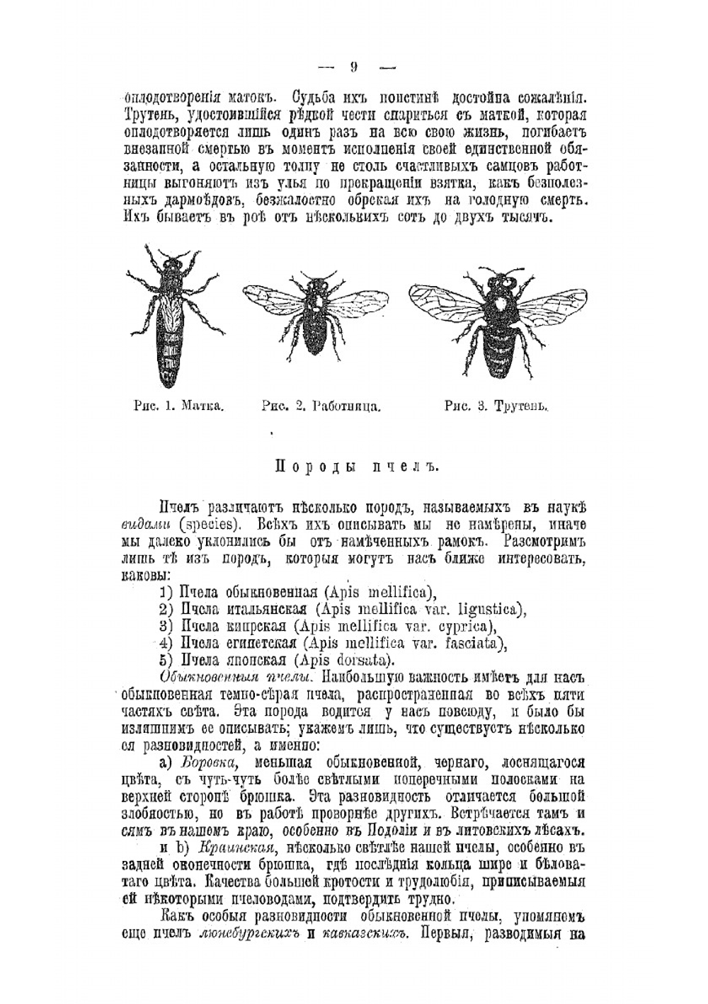 Промышленное пчеловодство, основанное на науке и многостороннем опыте. Часть 1 | Цесельский Теофил