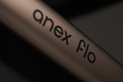 Anex Детская коляска Flo 2 в 1 Solo