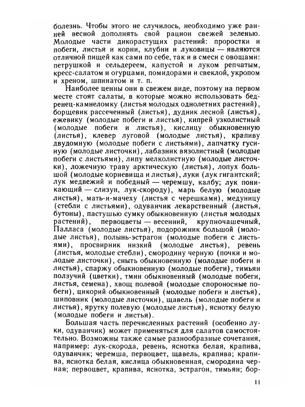 Лесной огород | Г.М. Свиридонов