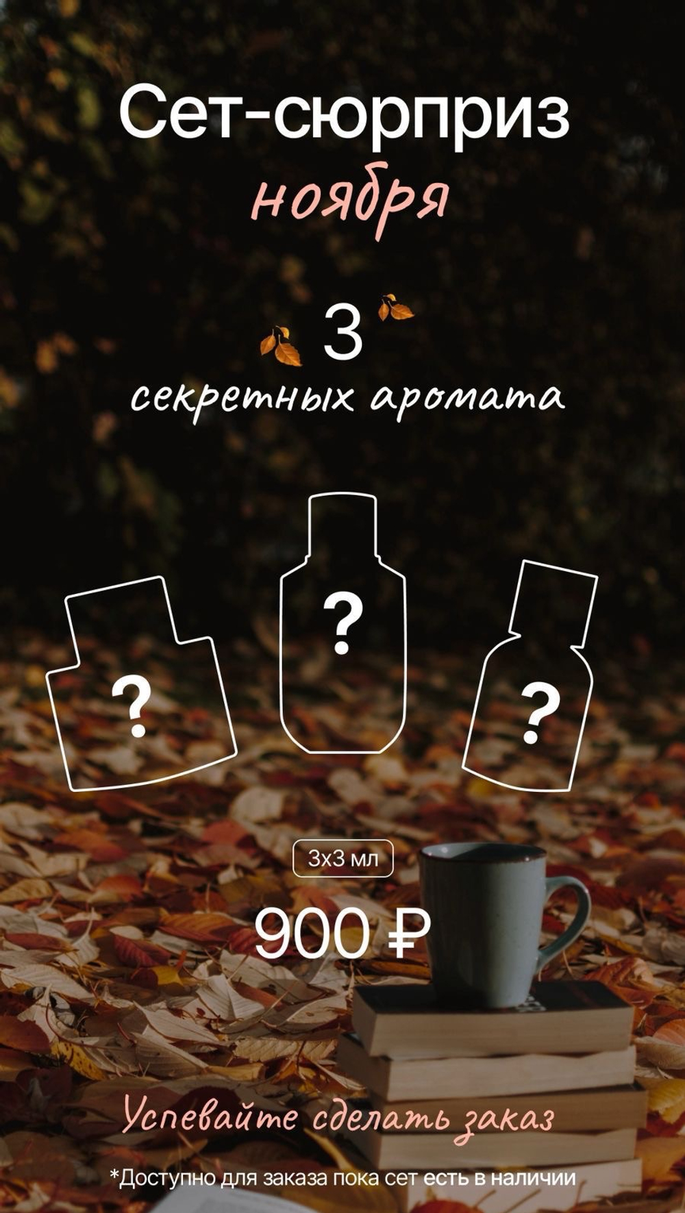 СЕТ-СЮРПРИЗ НОЯБРЯ
