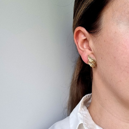 Клипсы крылышки