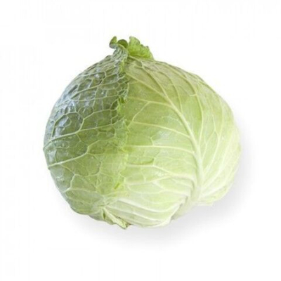 Эстрема F1 семена капусты савойской (Rijk Zwaan / Райк Цваан)