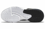 Кроссовки Nike Witness 6 Lebron Ep