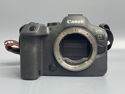Canon R6 Mark II 36000 кадров