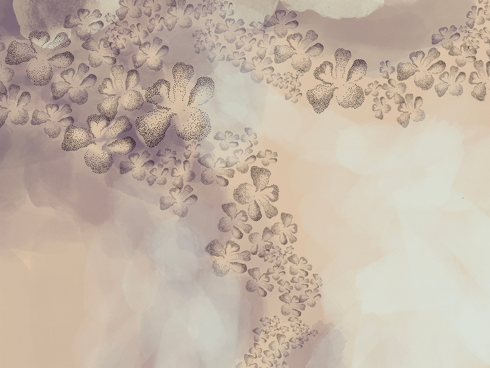 Коллекция ASTRAL 22