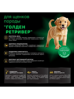 Корм сухой для щенков породы Голден ретривер, премиум полнорационный комплекс, с ягненком, 2,5 кг, QUATTRO