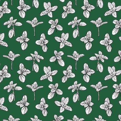 Итальянские травы и специи. Базилик на зеленом фоне