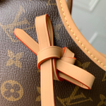 Louis Vuitton CarryAll Nano