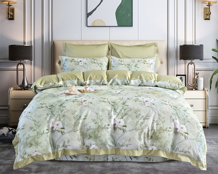 Постельное белье СайлиД T-057 сатин