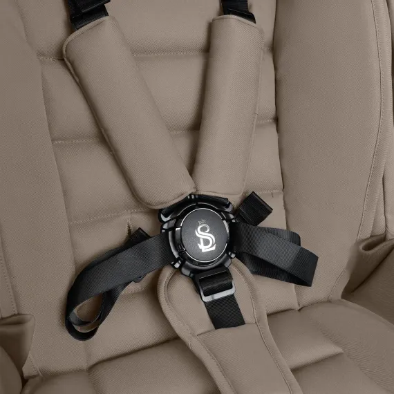 Коляска 2 в 1 SBL Dolce Beige