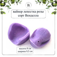 Вайнер лепестка розы сорта Венделла