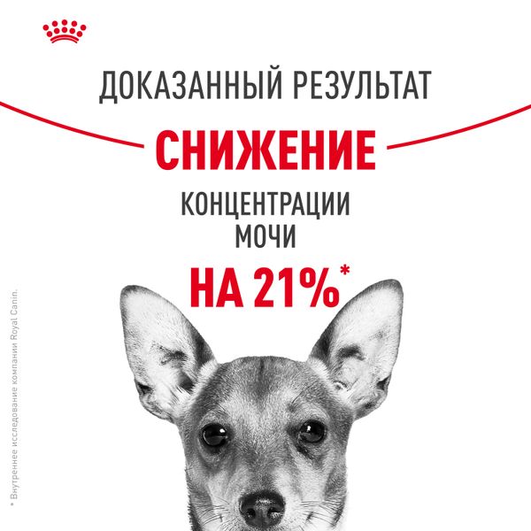 Сухой корм Royal Canin Mini Urinary Care для собак мелких размеров с чувствительной мочевыделительной системой