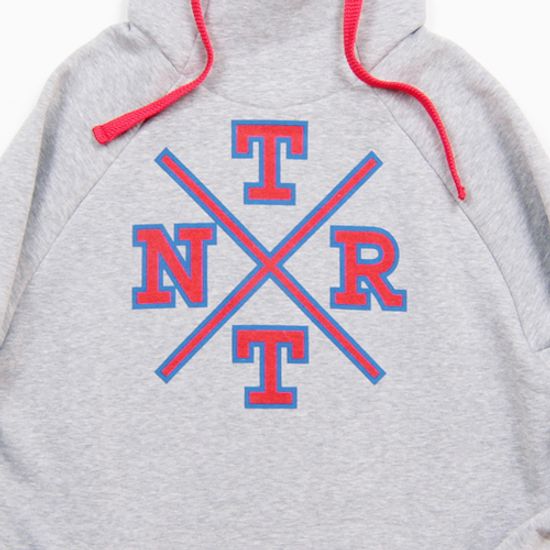 Толстовка Anteater hoodie TEAMLOGO grey