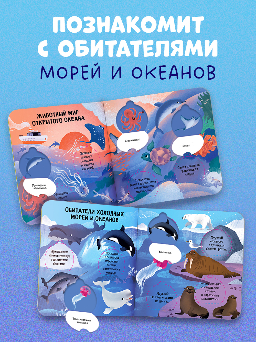Книжка с окошками. Океаны и моря. Энциклопедия с окошками