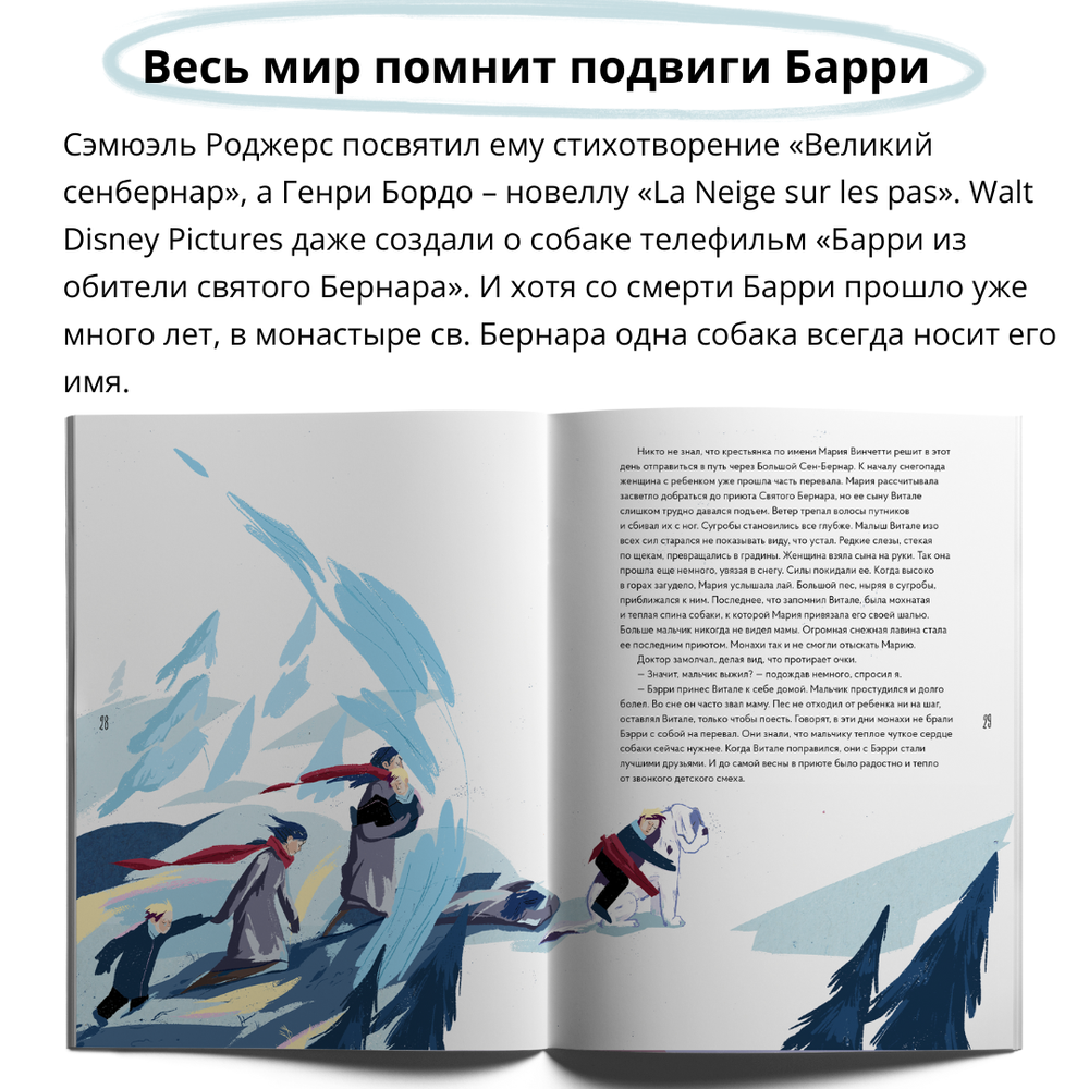 Сенбернар Бэрри. Спасатель в горах