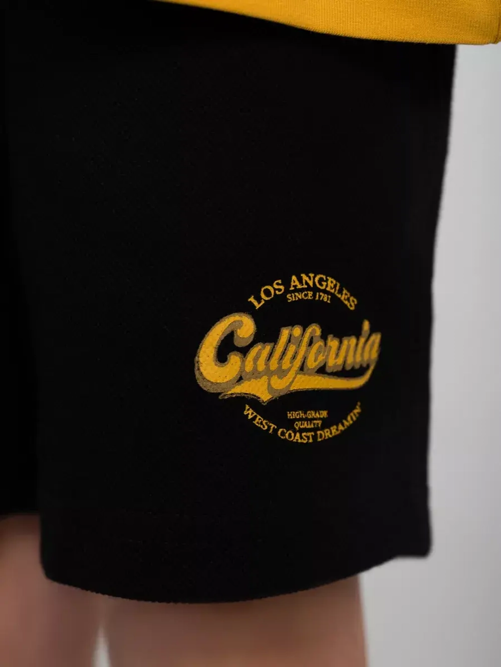 Летний костюм для мальчика с шортами