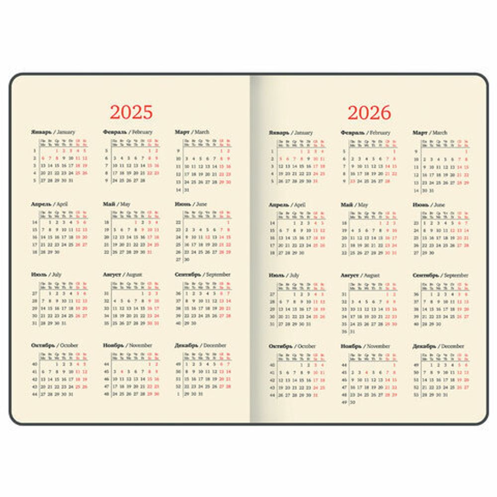 Еженедельник Brauberg "Comodo" датированный 210х297 мм А4 (115942) 5