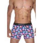 Трусы мужские боксеры разноцветные с принтом "ананасы" DARKZONE DZN2064