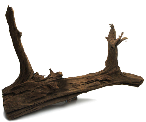 Коряга Мангровая натуральная 50-60см. 003