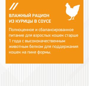 Пауч для взрослых кошек, Eukanuba Adult cat chicken, c курицей в соусе