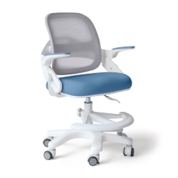 Стул для школьника Ergokids Y-308