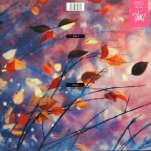 Erasure / Wild! (Limited Edition)(LP)