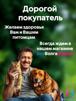 Рабектра 500 мг жевательная таблетка против блох и клещей для собак весом 10-20 кг, 1 таблетка