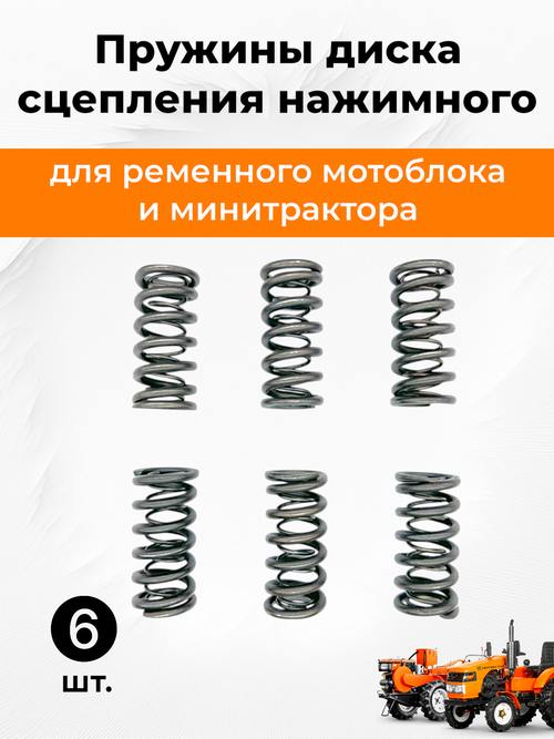 Пружина диска сцепления нажимного (6 шт) R 180
