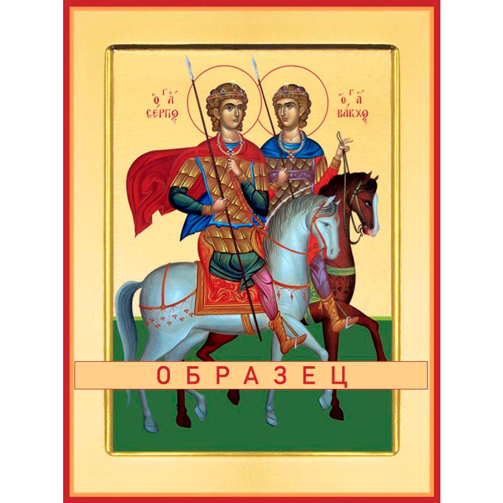 Мученики Сергий и Вакх Мч-151 (мч/С/5/1)